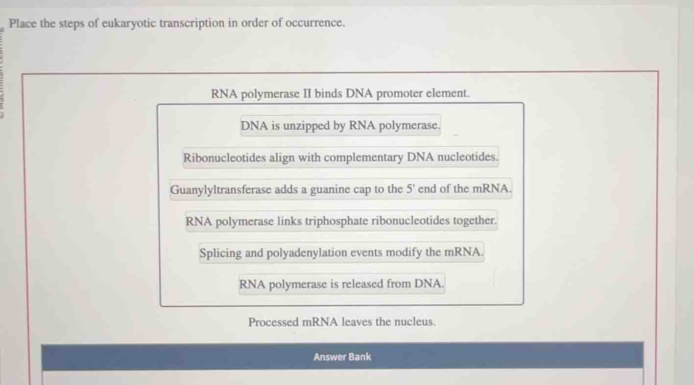 place the steps of eukaryotic transcription in order of occurrence. rna…
