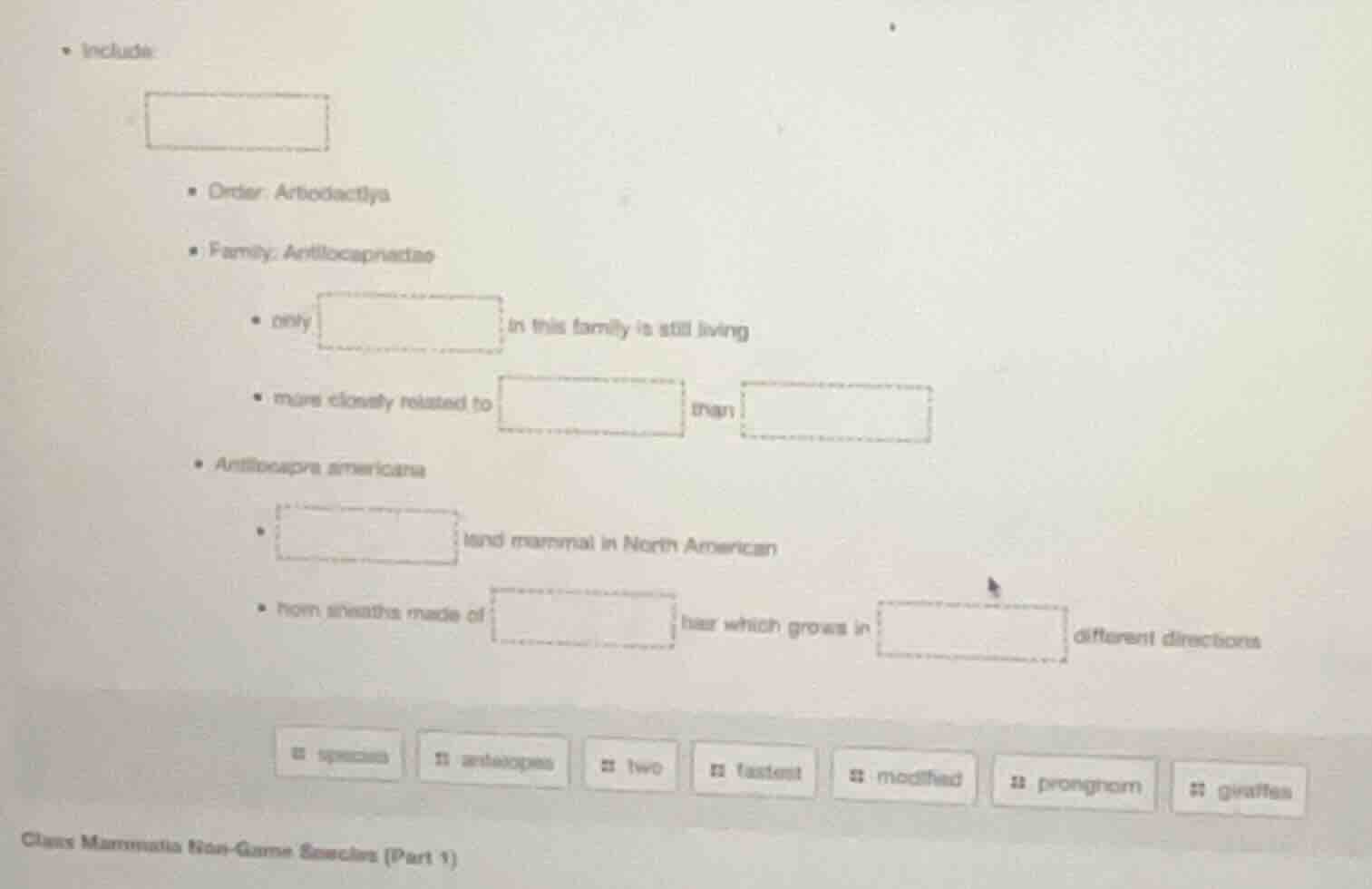 • include: • order: artiodactyla • family: antilocapridae • only in thi…