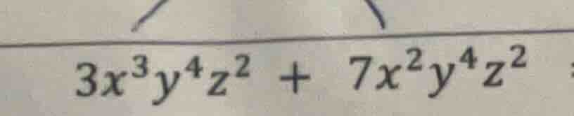 3x³y⁴z² + 7x²y⁴z²
