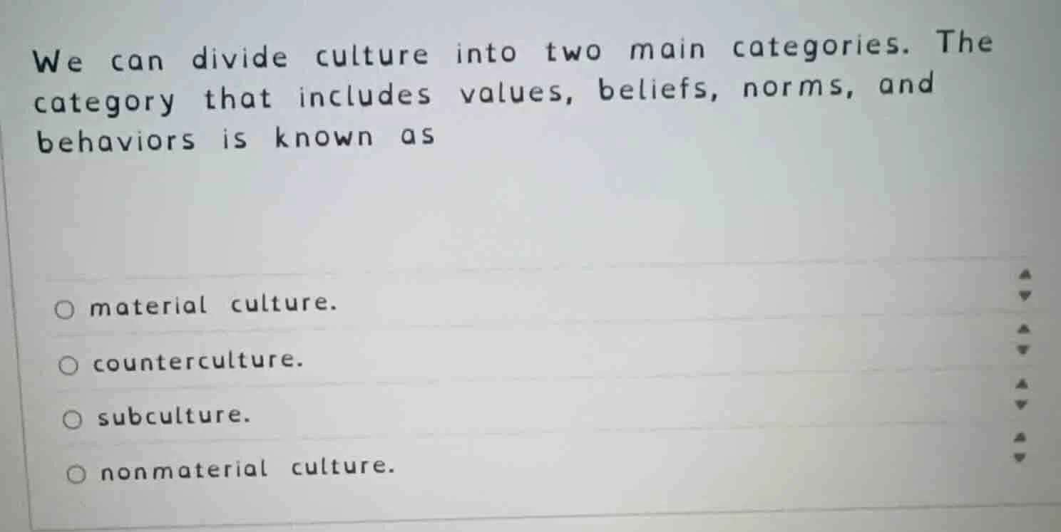 we can divide culture into two main categories. the category that inclu…