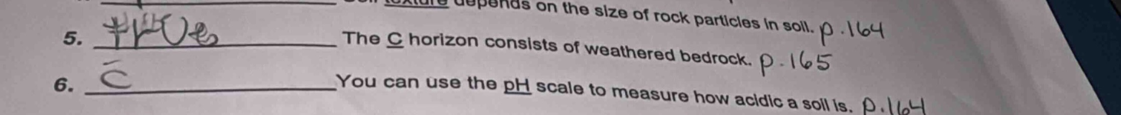 5. ______ the c horizon consists of weathered bedrock. p.165 6. ______y…