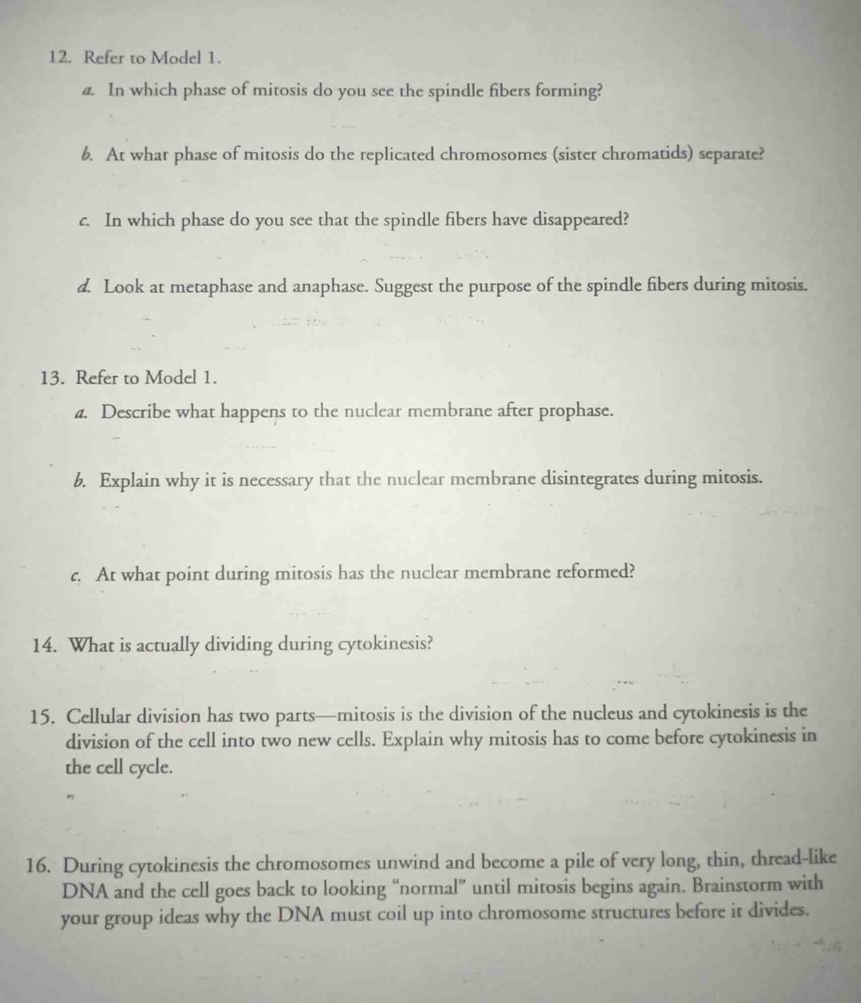12. refer to model 1. a. in which phase of mitosis do you see the spind…