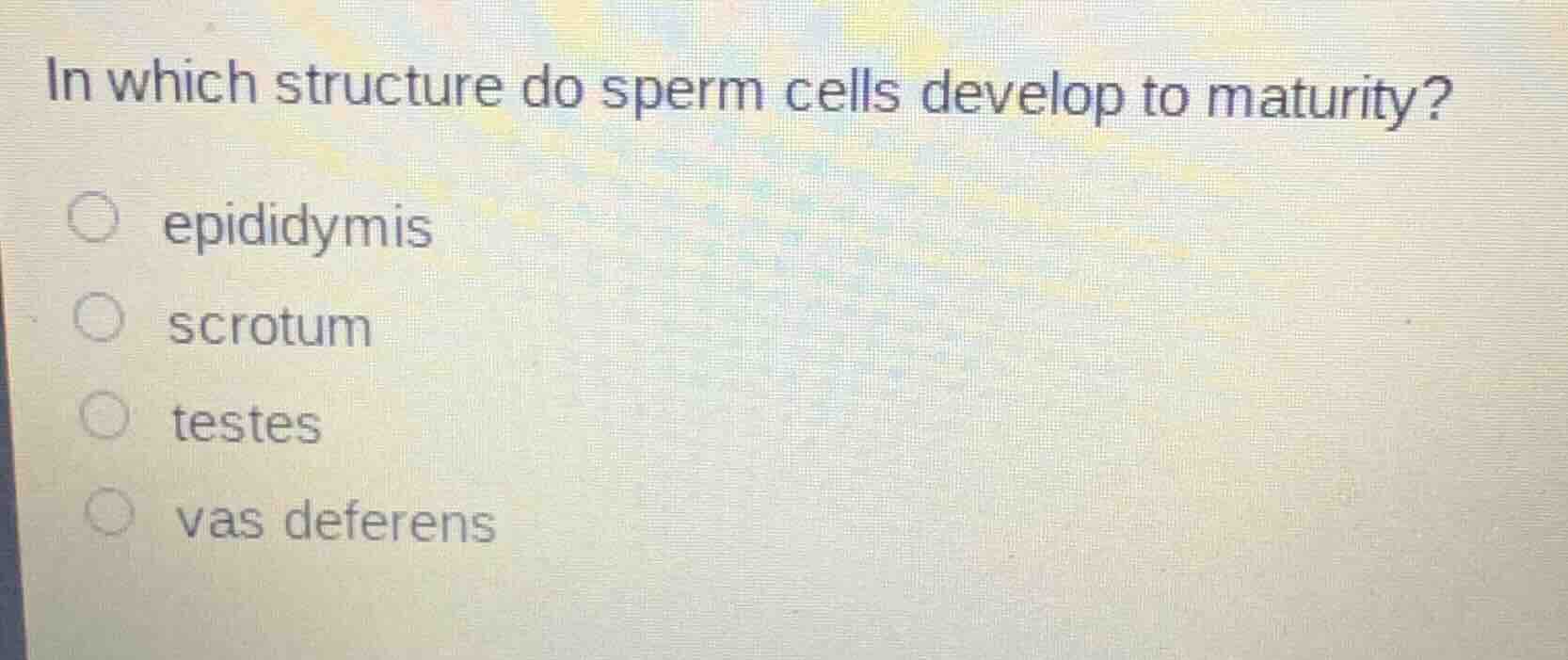 in which structure do sperm cells develop to maturity? epididymis scrot…