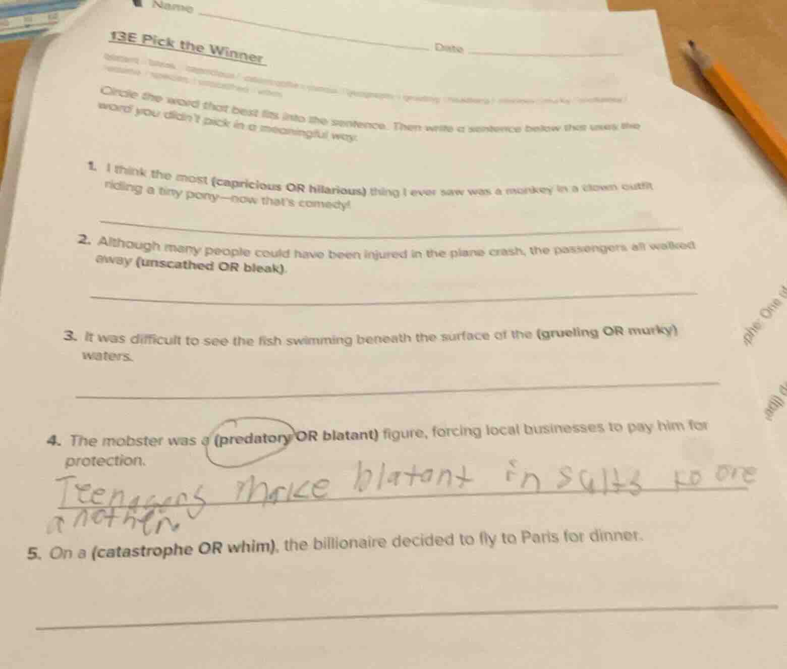 13e pick the winner circle the word that best fits into the sentence. t…