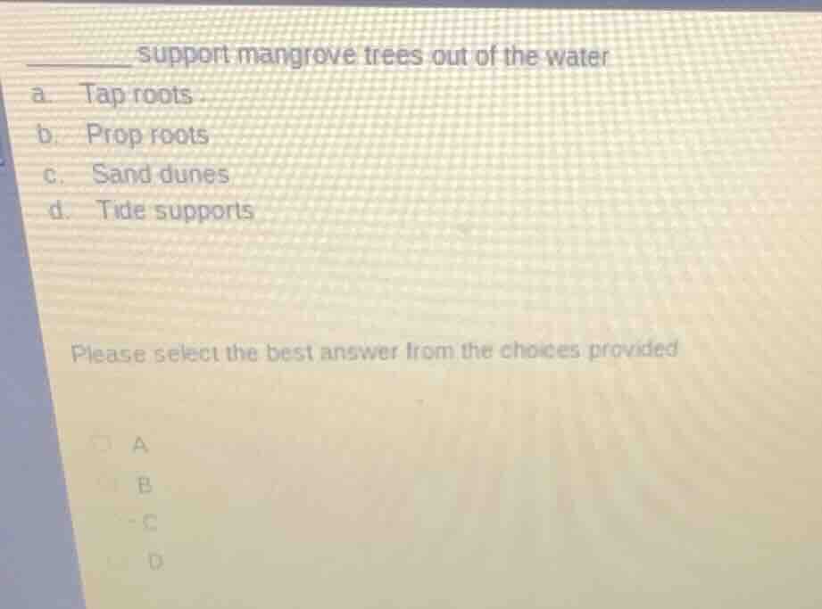 ______ support mangrove trees out of the water a. tap roots b. prop roo…