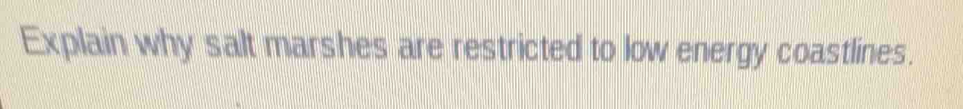 explain why salt marshes are restricted to low energy coastlines.