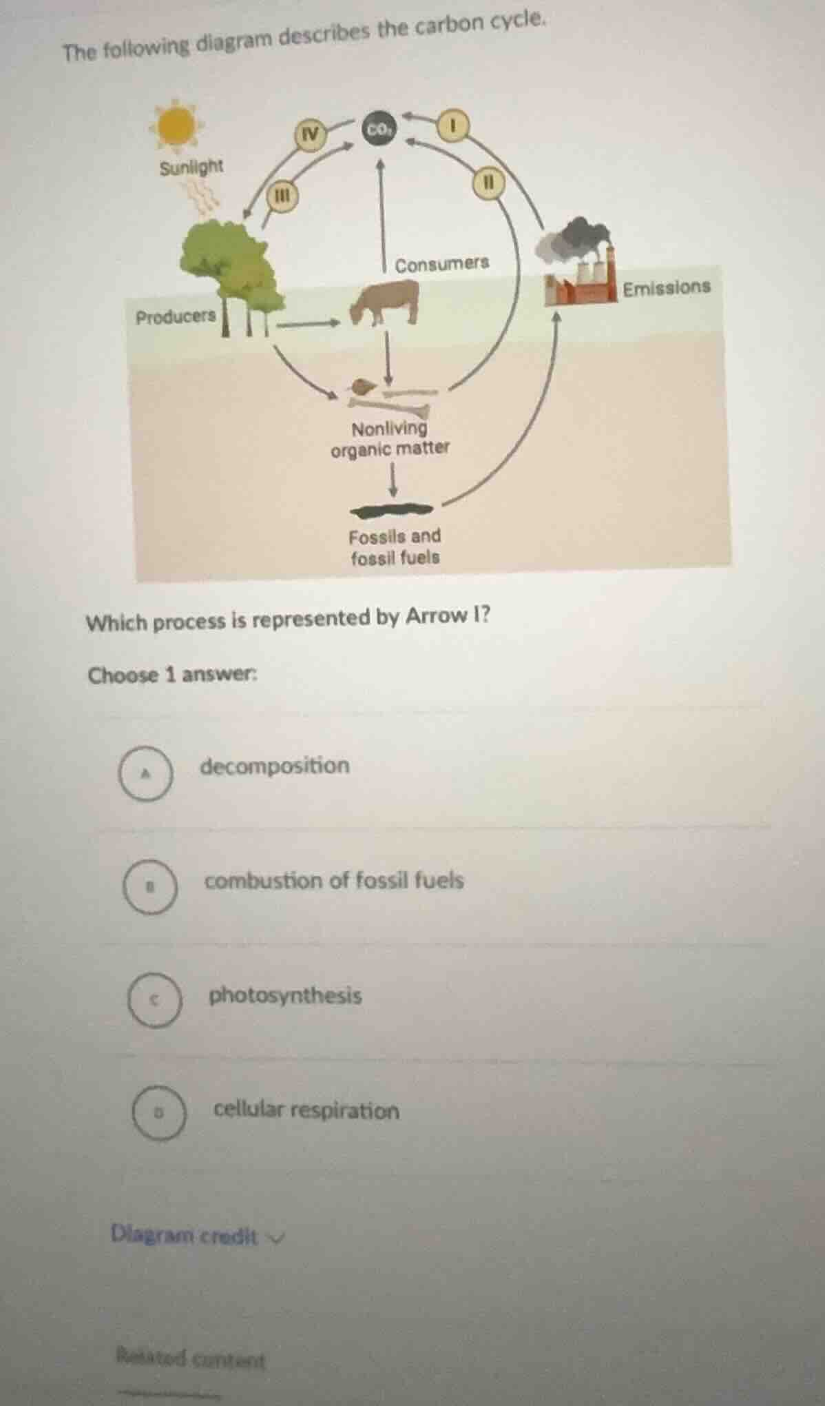 the following diagram describes the carbon cycle. which process is repr…