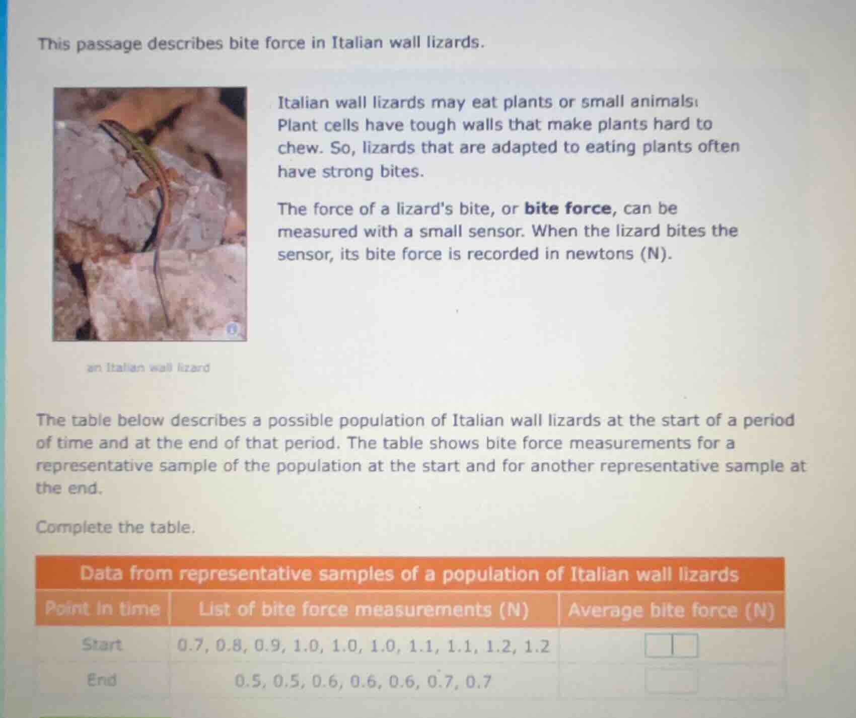 this passage describes bite force in italian wall lizards. italian wall…