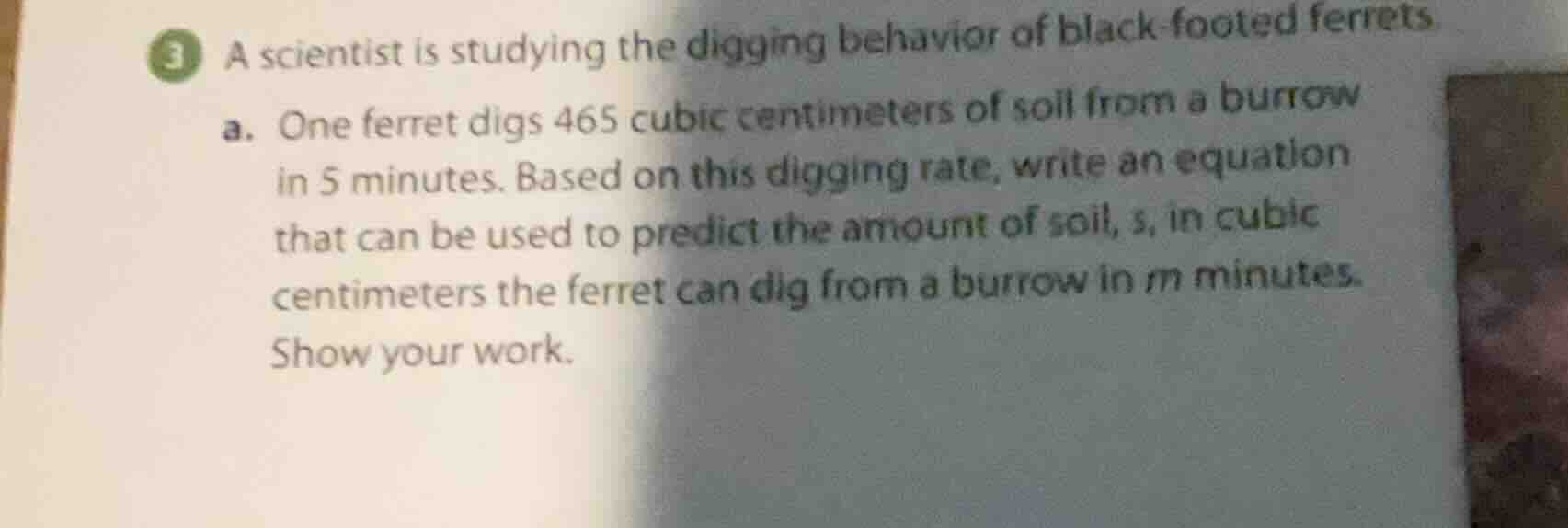 3 a scientist is studying the digging behavior of black - footed ferret…