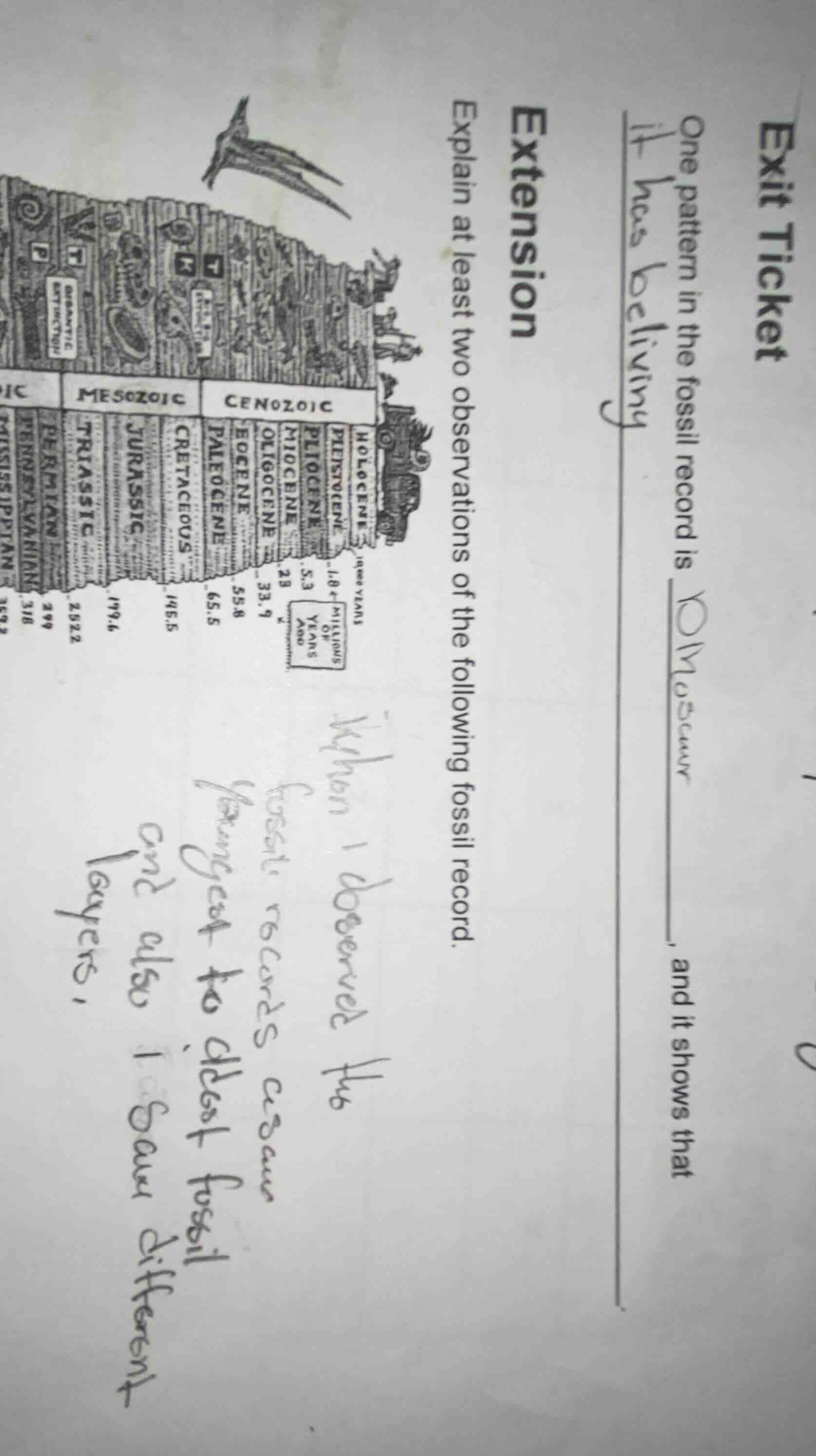 exit ticket one pattern in the fossil record is ______, and it shows th…