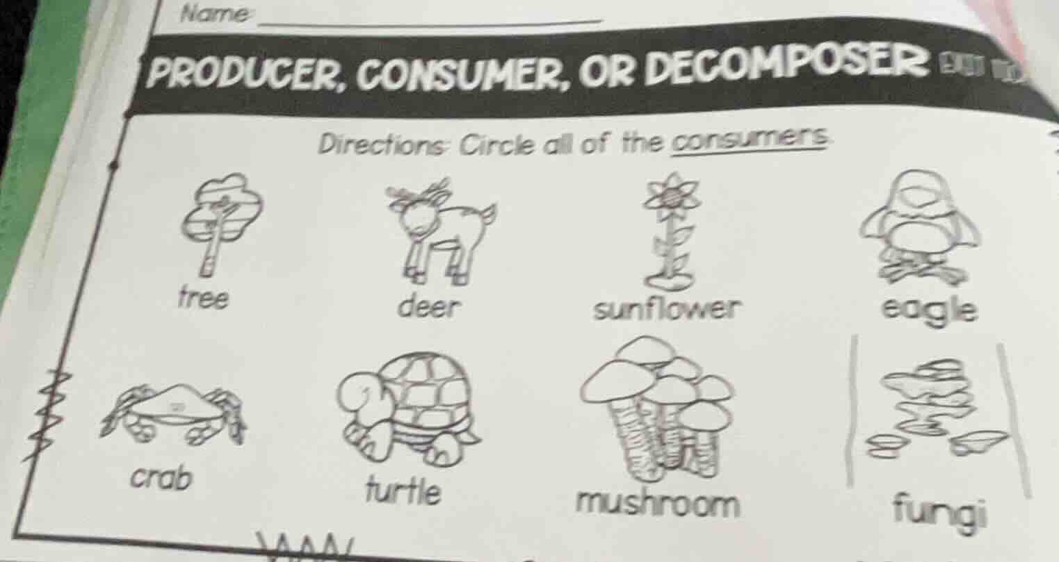 name producer, consumer, or decomposer directions: circle all of the co…
