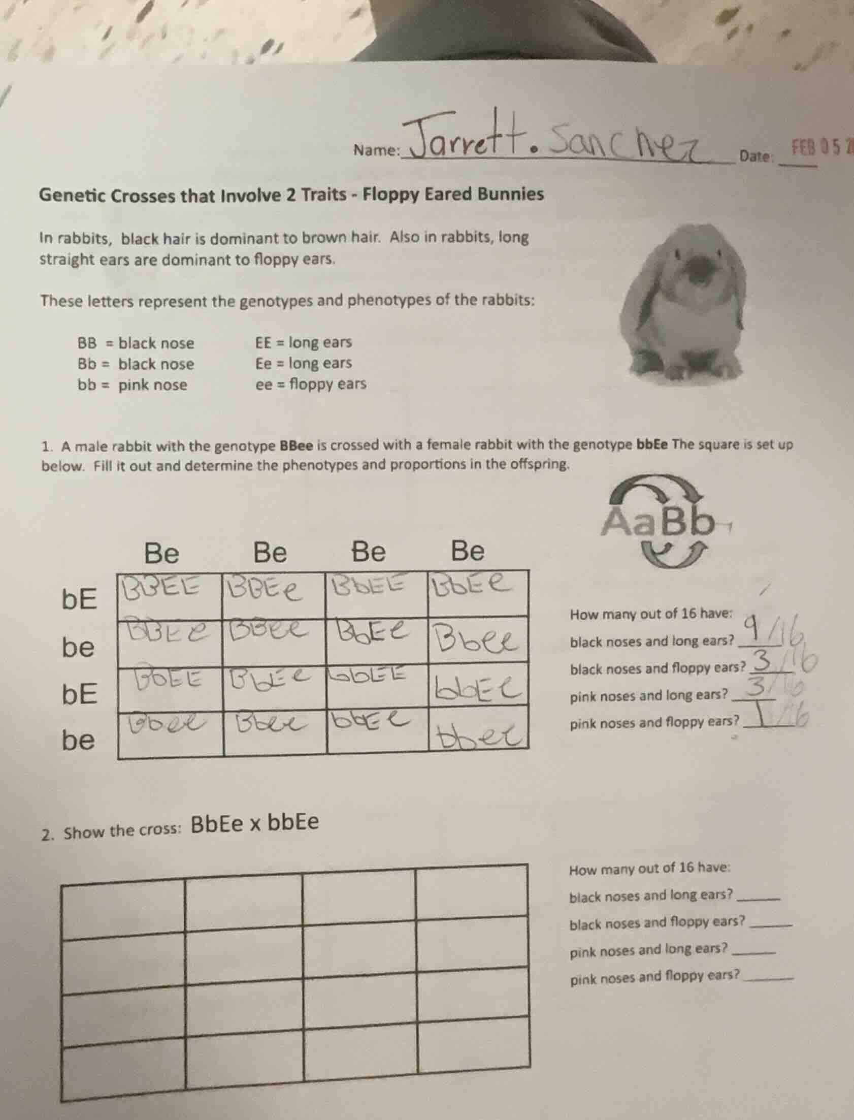 name: jarrett. sanchez date: feb 05 genetic crosses that involve 2 trai…