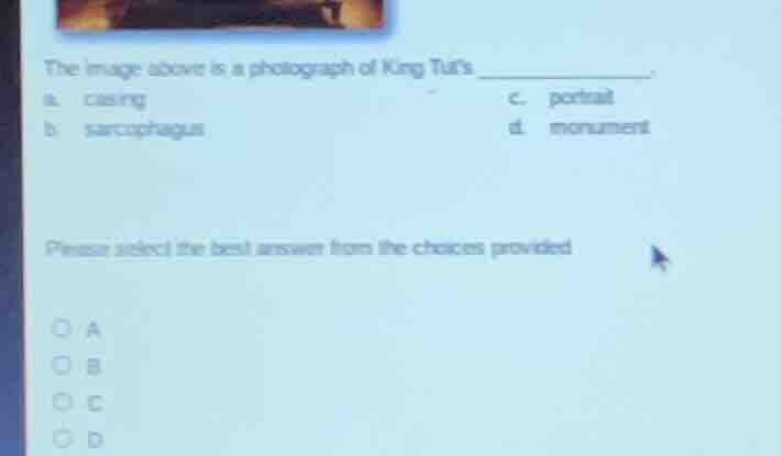the image above is a photograph of king tuts _________. a. casing \tc. …