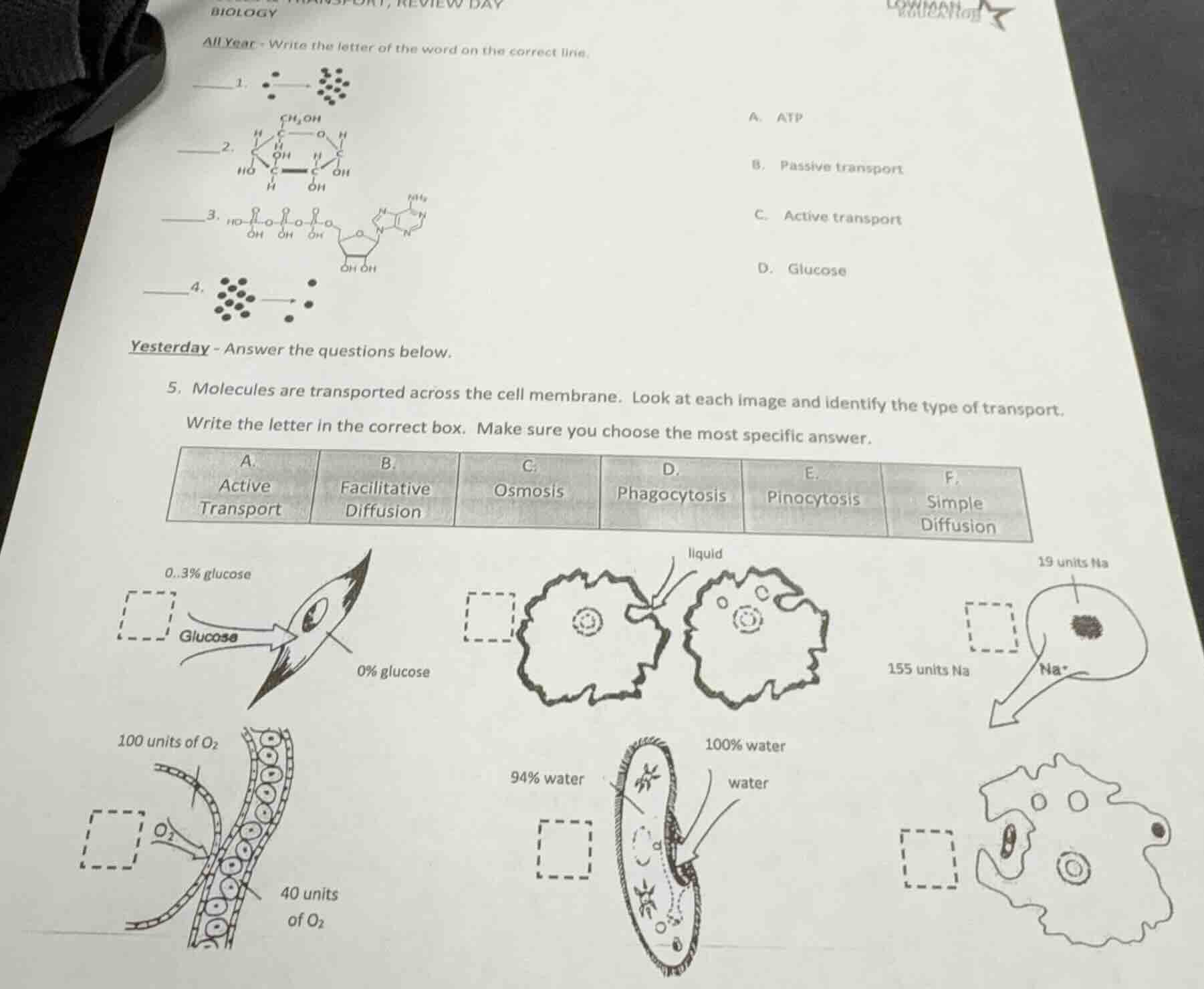 biology all year - write the letter of the word on the correct line. __…