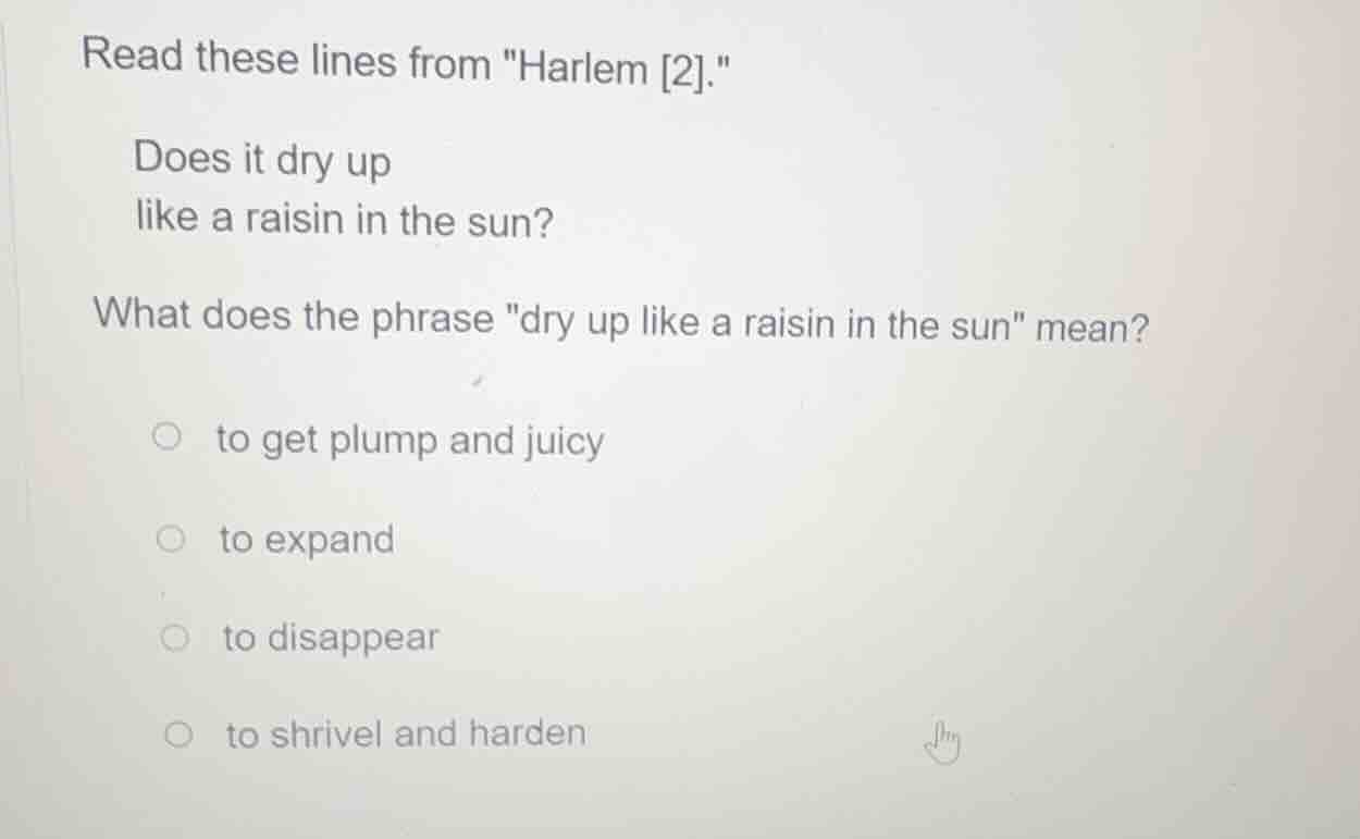 read these lines from \harlem 2.\ does it dry up like a raisin in the s…