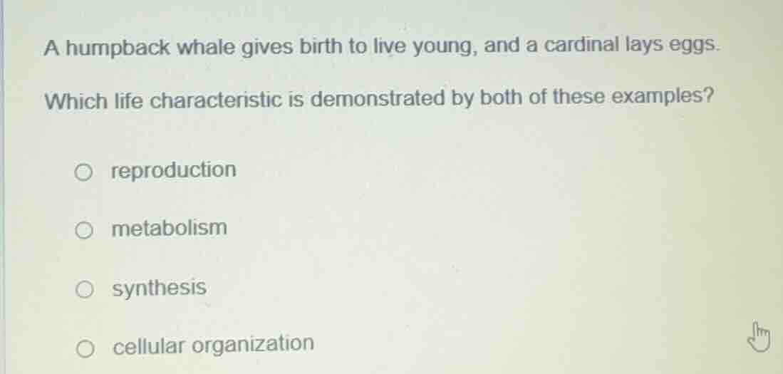 a humpback whale gives birth to live young, and a cardinal lays eggs. w…