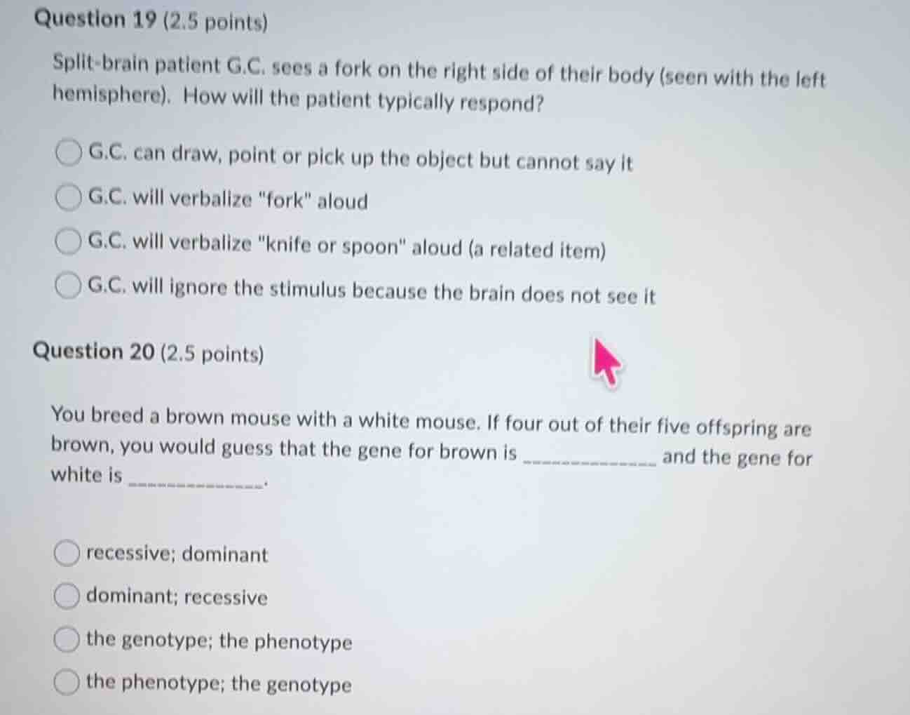 question 19 (2.5 points) split-brain patient g.c. sees a fork on the ri…