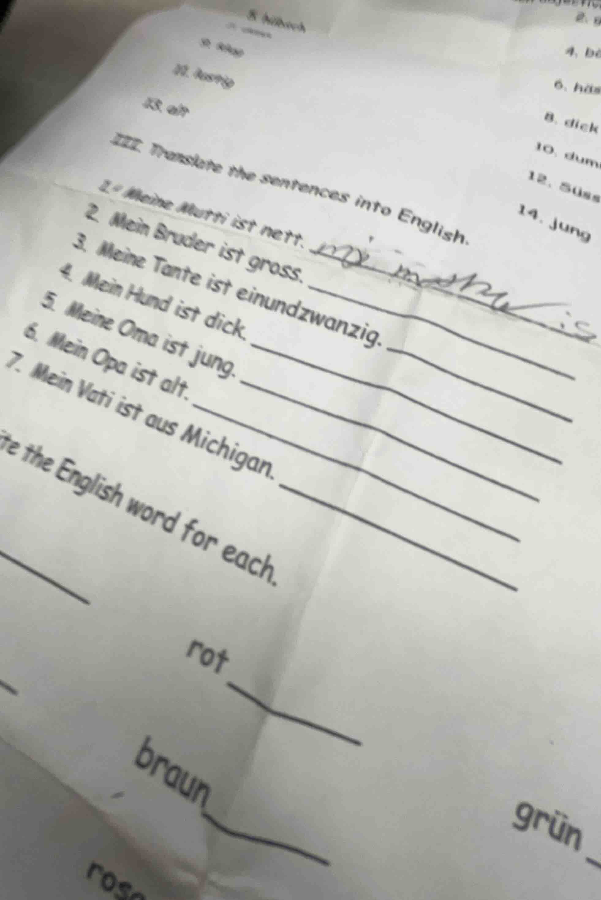 iii. translate the sentences into english. 1. meine mutti ist nett. 2. …