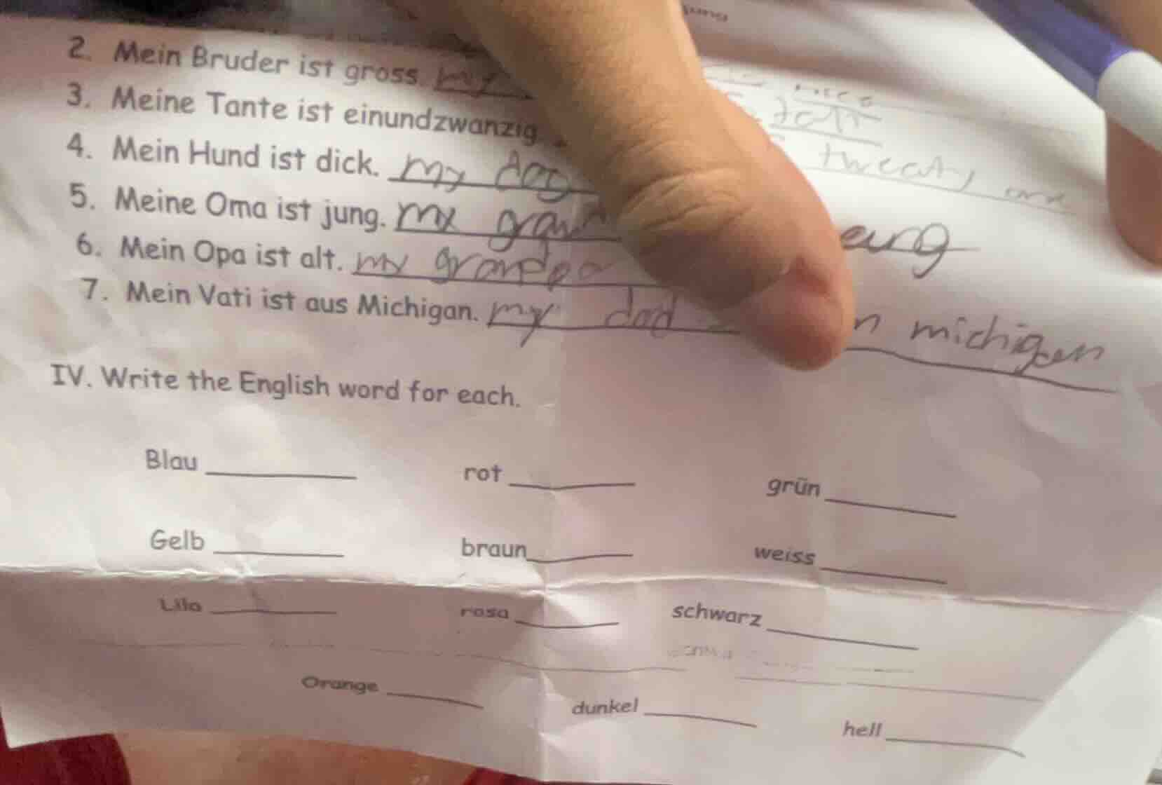 2. mein bruder ist gross. 3. meine tante ist einundzwanzig 4. mein hund…