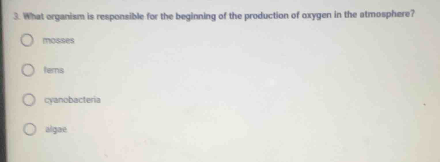 3. what organism is responsible for the beginning of the production of …