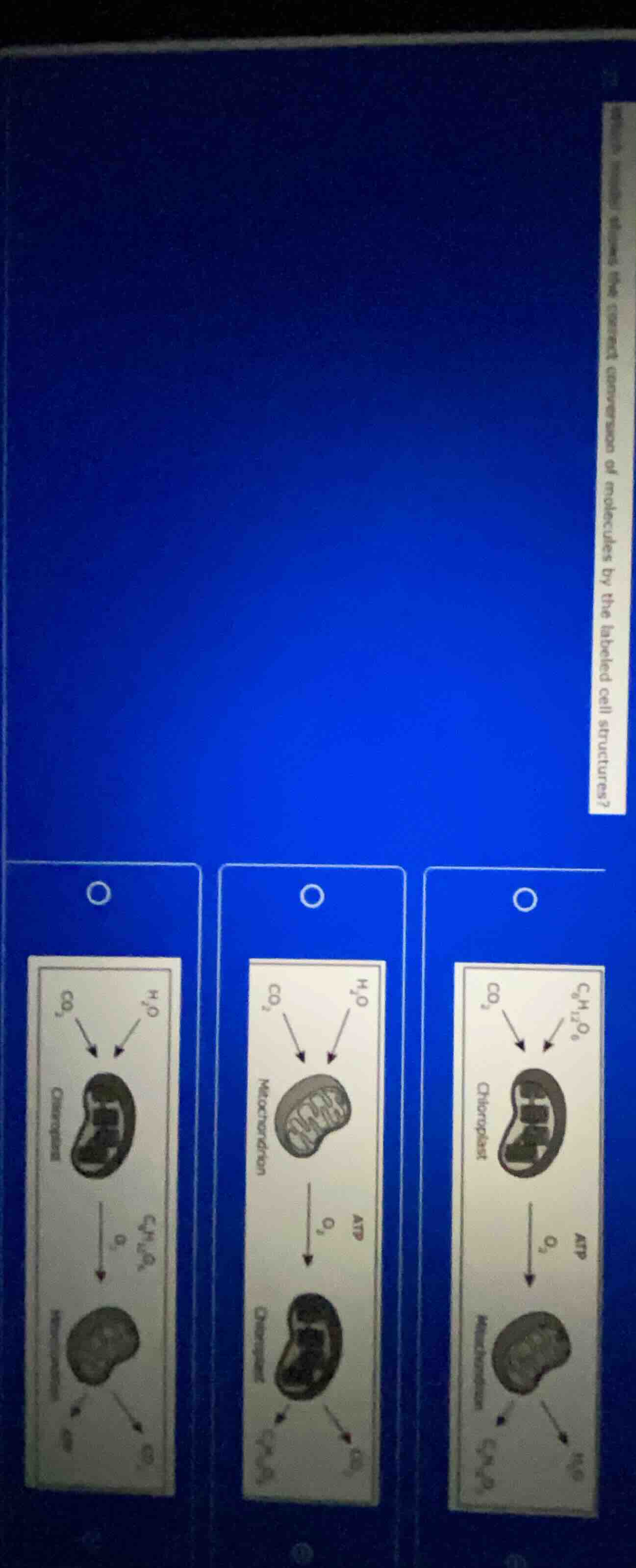 which diagram represents the correct conversion of molecules by the lab…