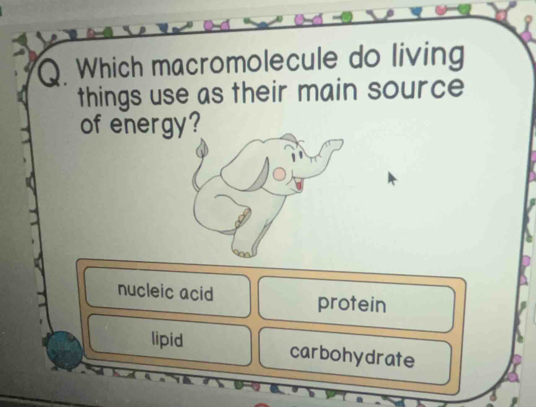 q. which macromolecule do living things use as their main source of ene…