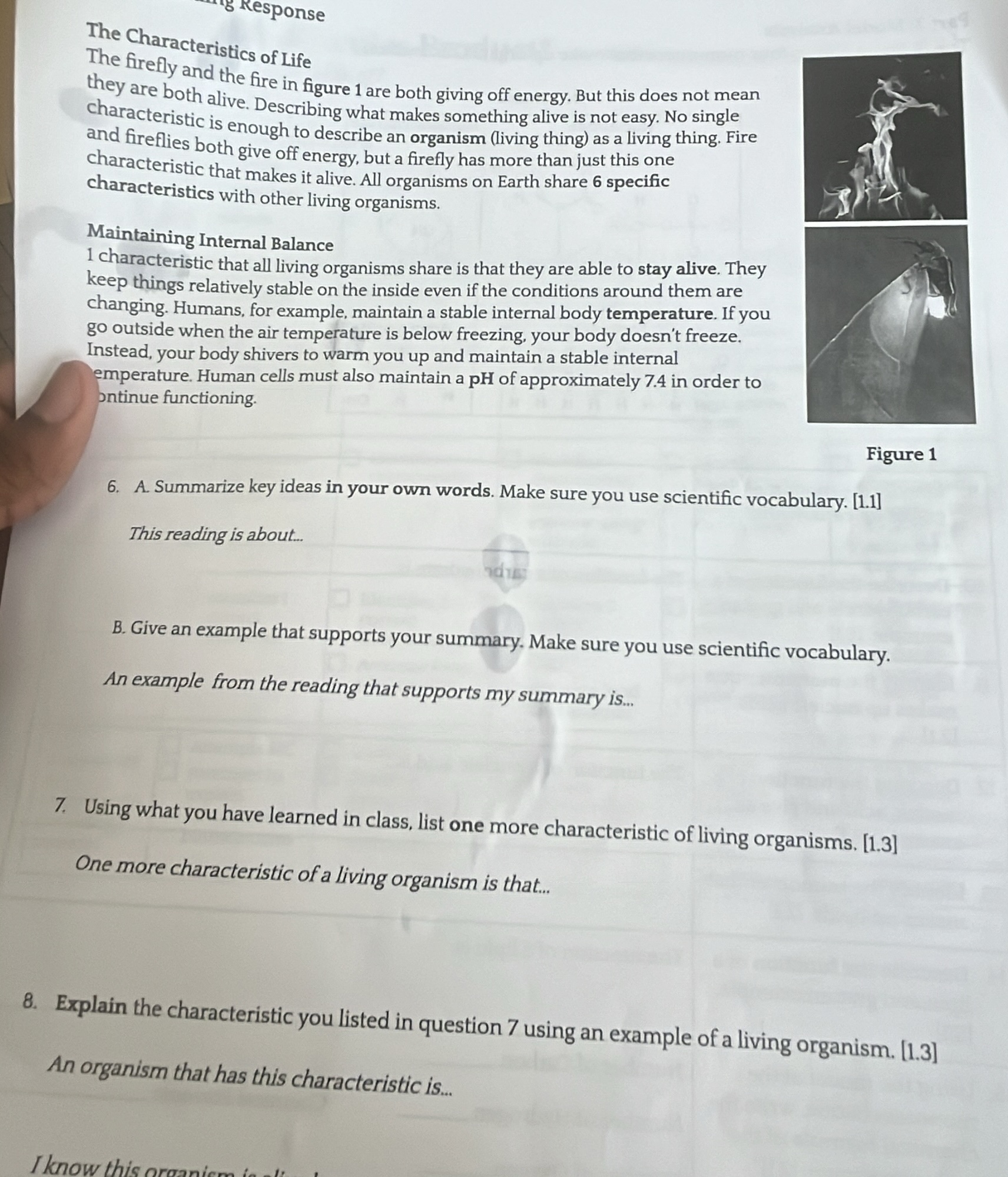 response the characteristics of life the firefly and the fire in figure…