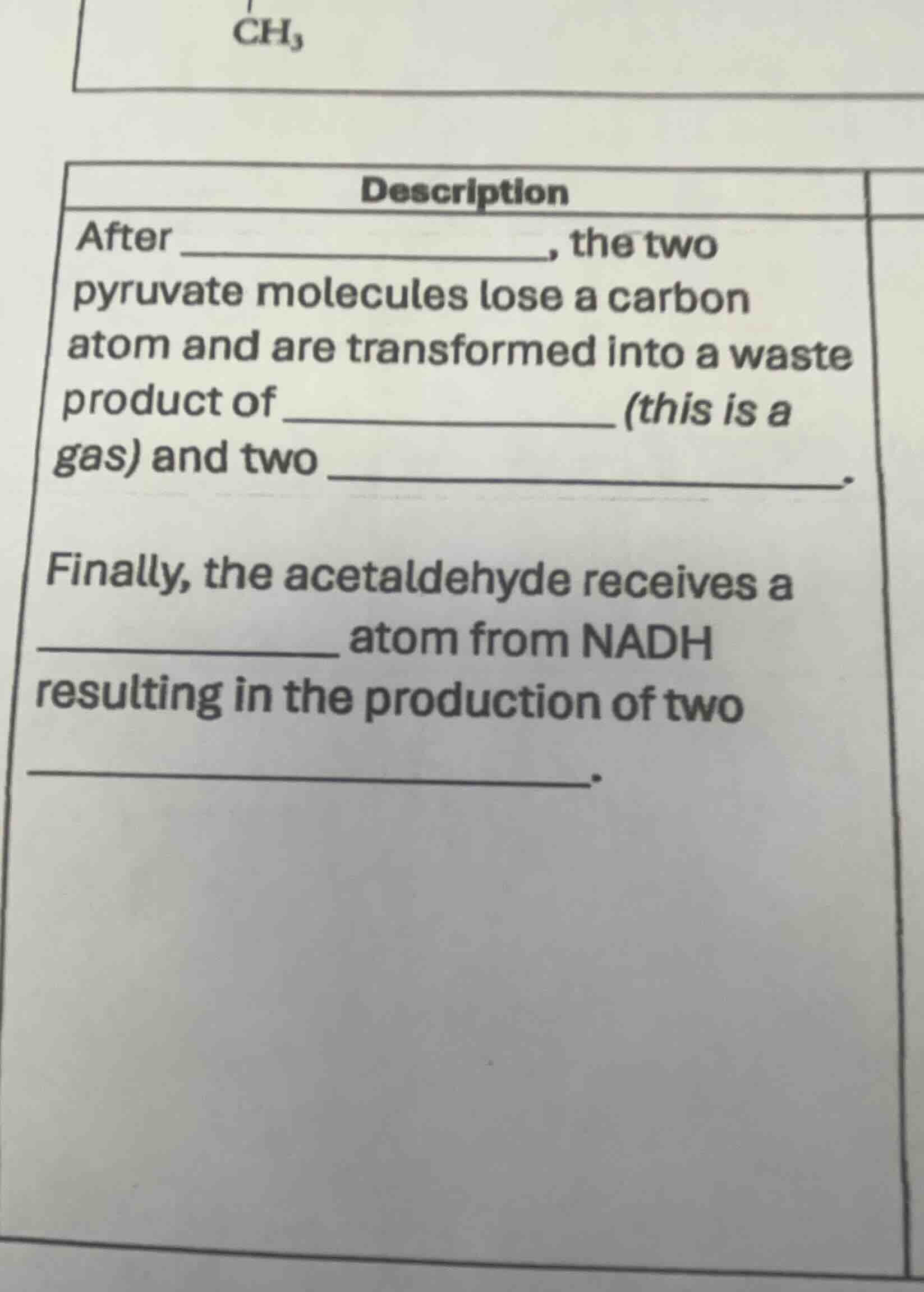 description after _______________, the two pyruvate molecules lose a ca…
