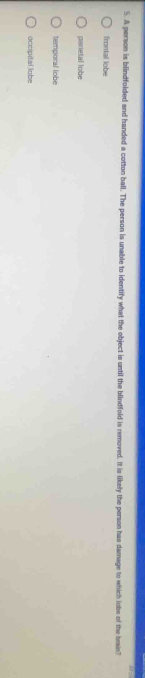 5. a person is blindfolded and handed a cotton ball. the person is unab…