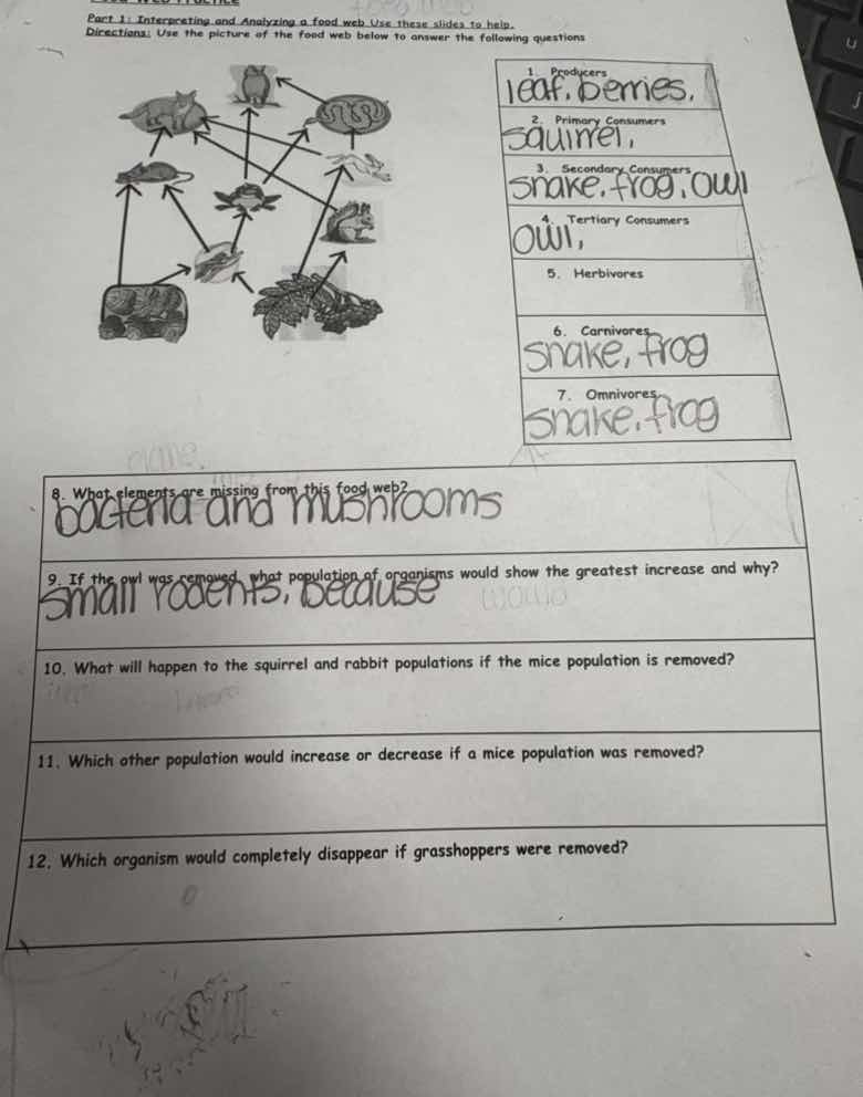part 1: interpreting and analyzing a food web. use these slides to help…