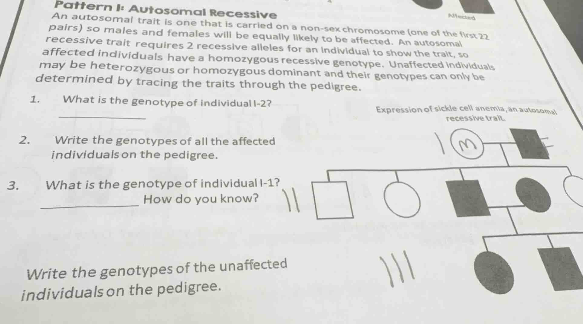 pattern i: autosomal recessive an autosomal trait is one that is carrie…