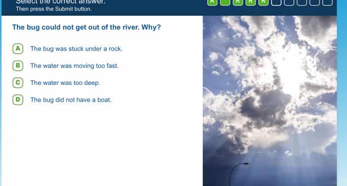 select the correct answer. then press the submit button. the bug could …