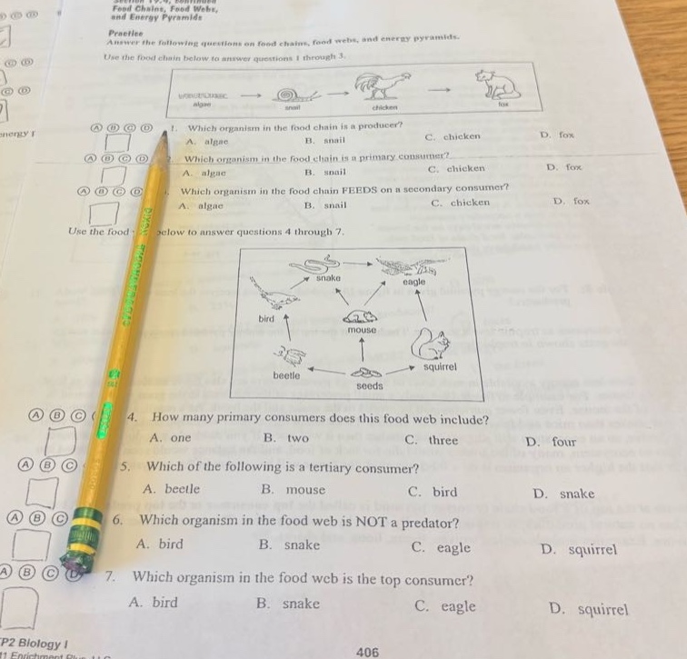 feed chains, food webs, and energy pyramids practise answer the followi…