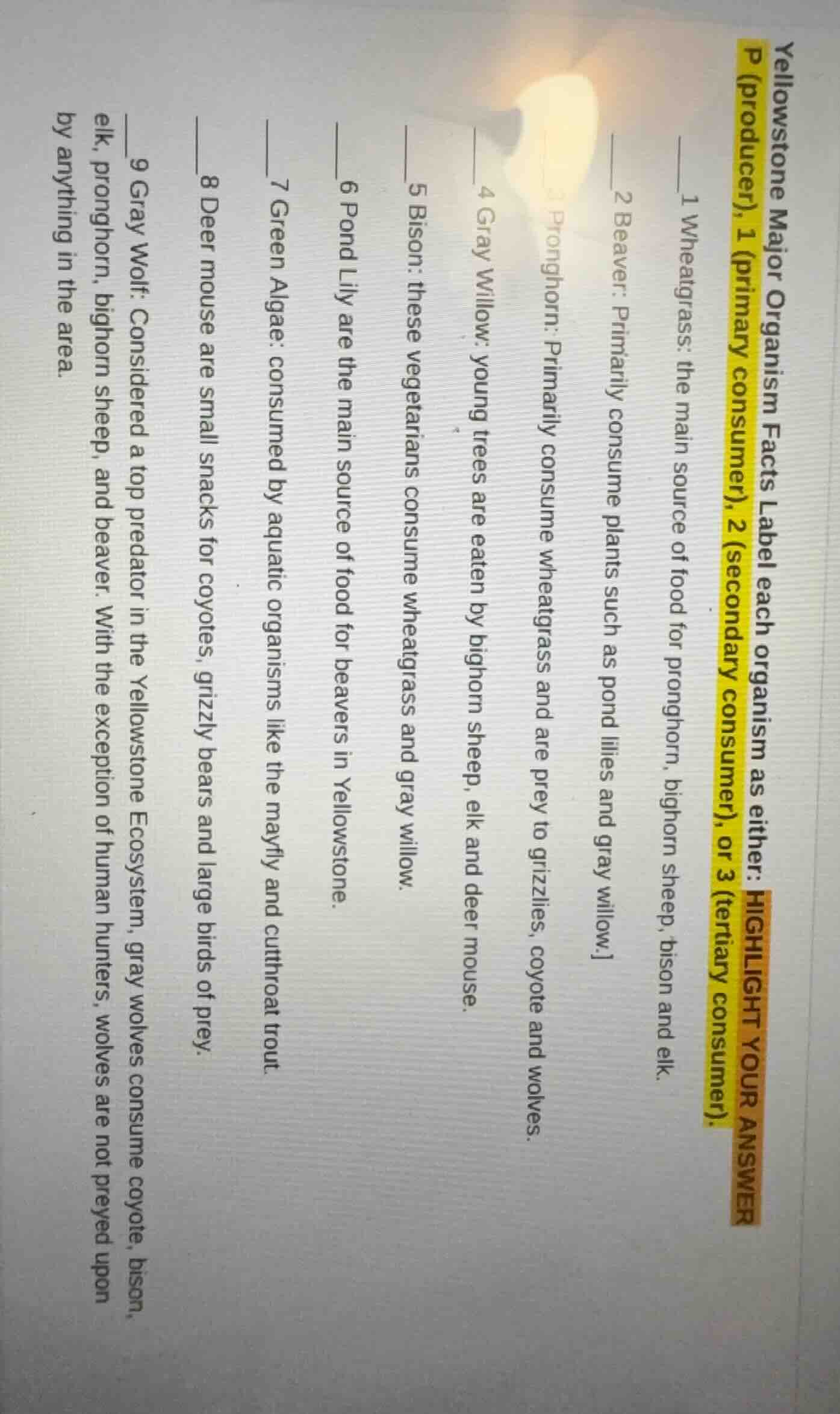 yellowstone major organism facts label each organism as either: highlig…