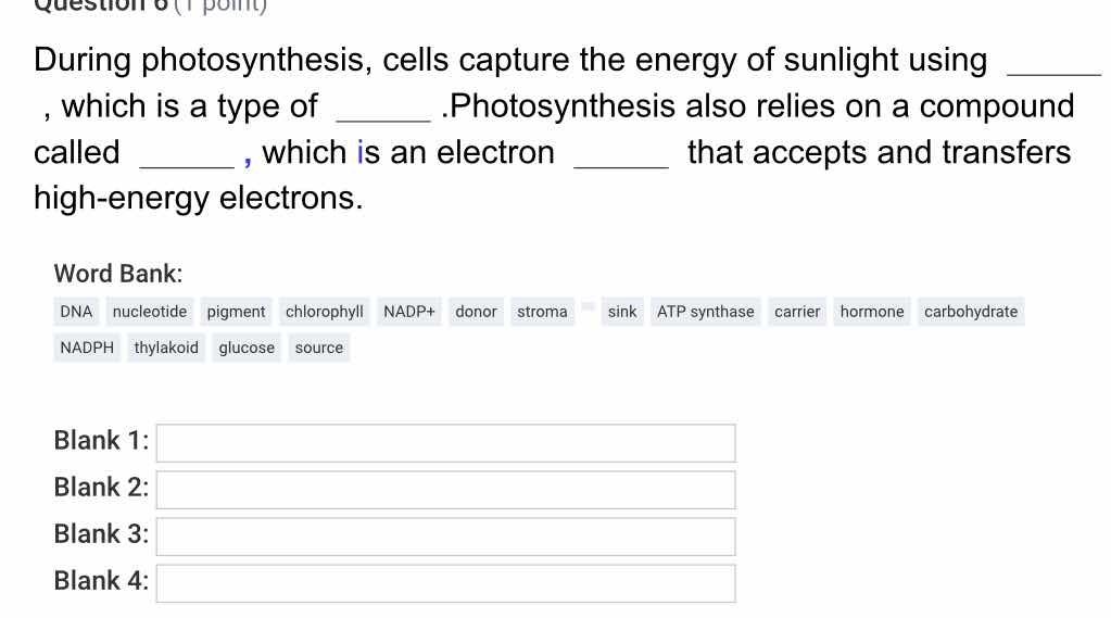 during photosynthesis, cells capture the energy of sunlight using _____…