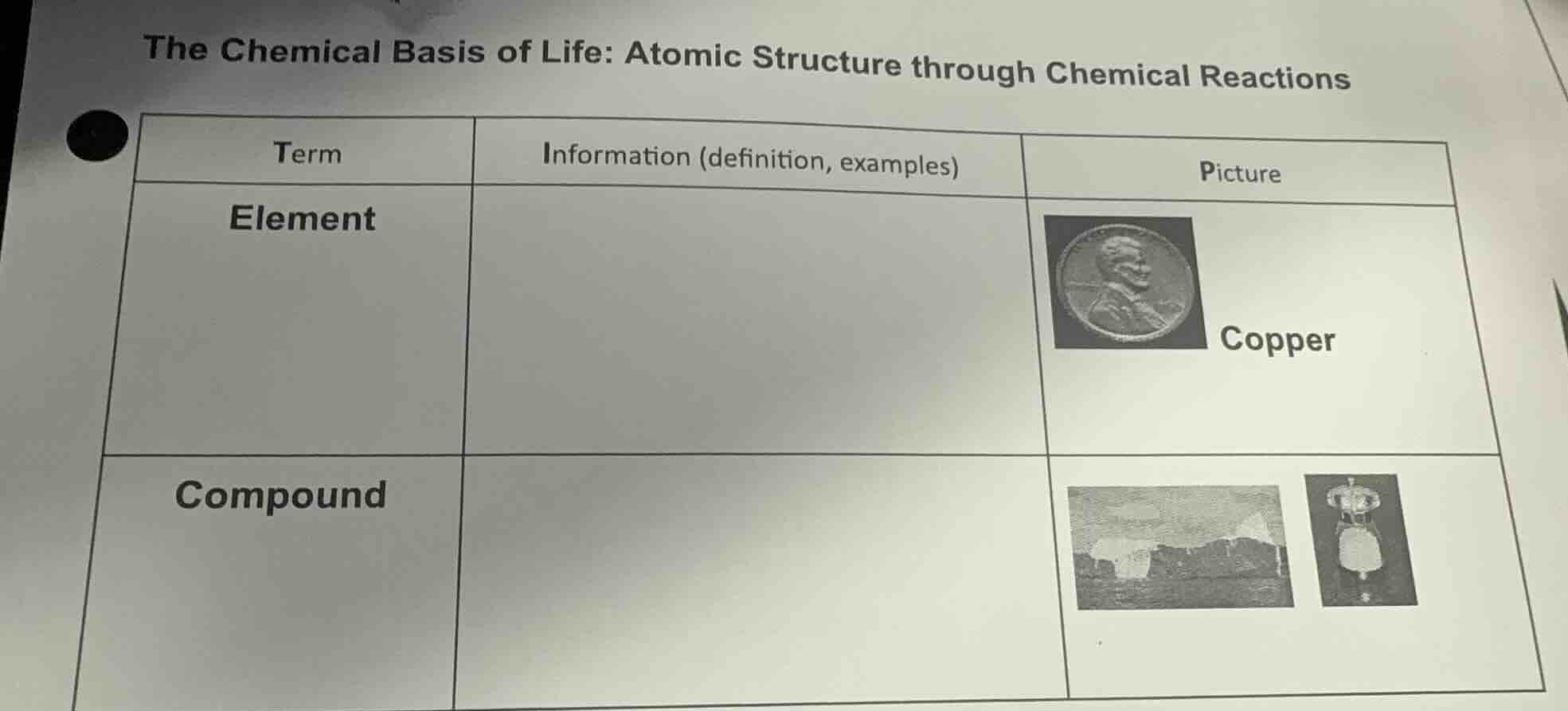 the chemical basis of life: atomic structure through chemical reactions…