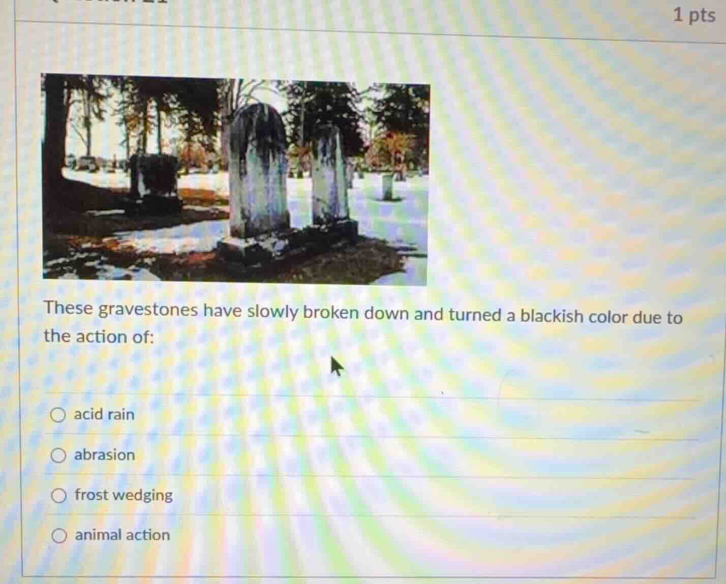 these gravestones have slowly broken down and turned a blackish color d…