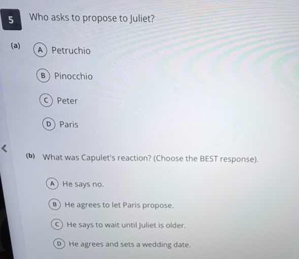 5 who asks to propose to juliet? (a) a petruchio b pinocchio c peter d …
