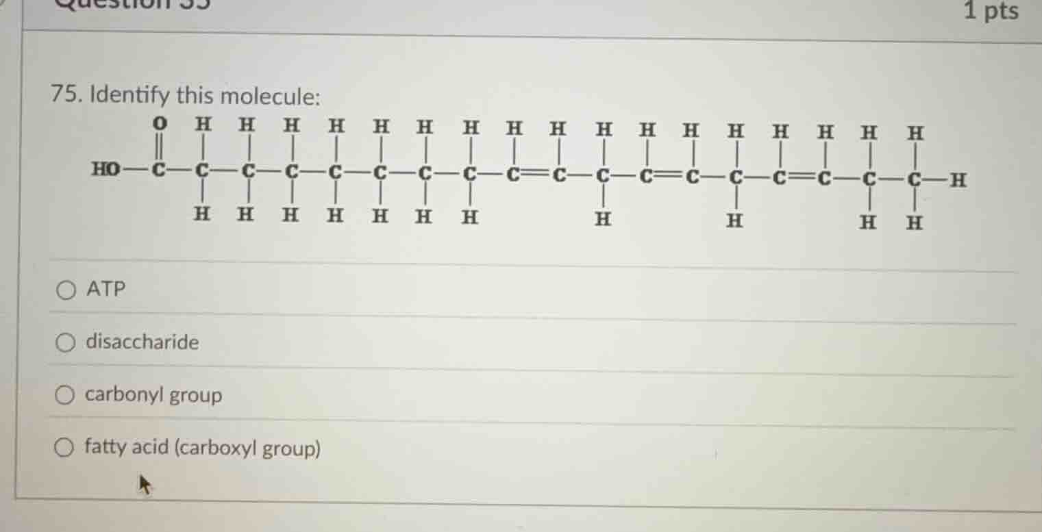 75. identify this molecule: options: atp disaccharide carbonyl group fa…
