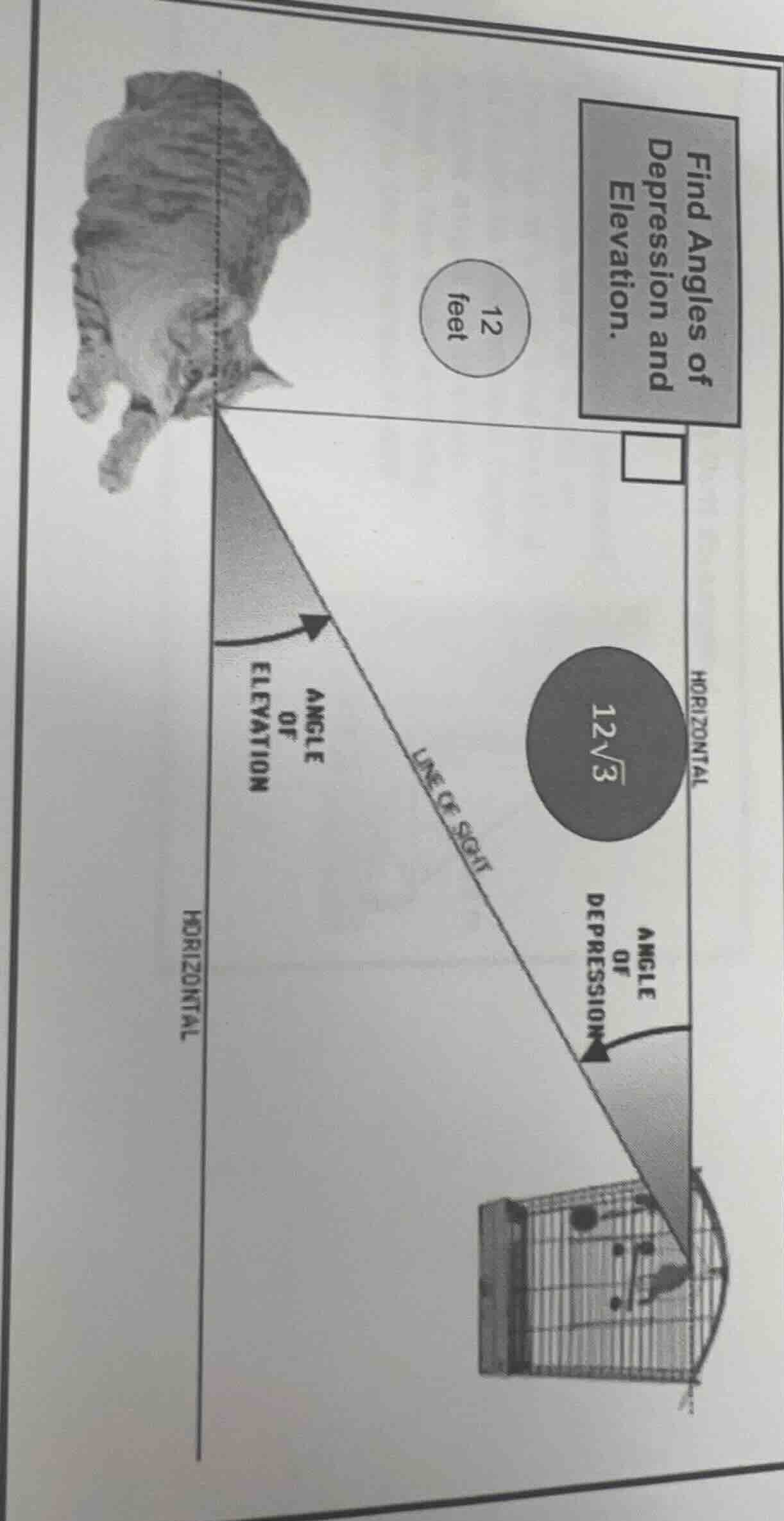 find angles of depression and elevation. 12 feet, 12√3, horizontal, ang…
