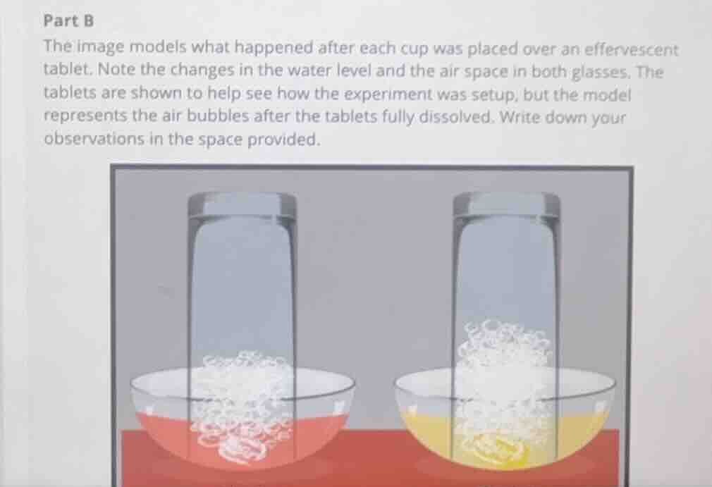 part b the image models what happened after each cup was placed over an…