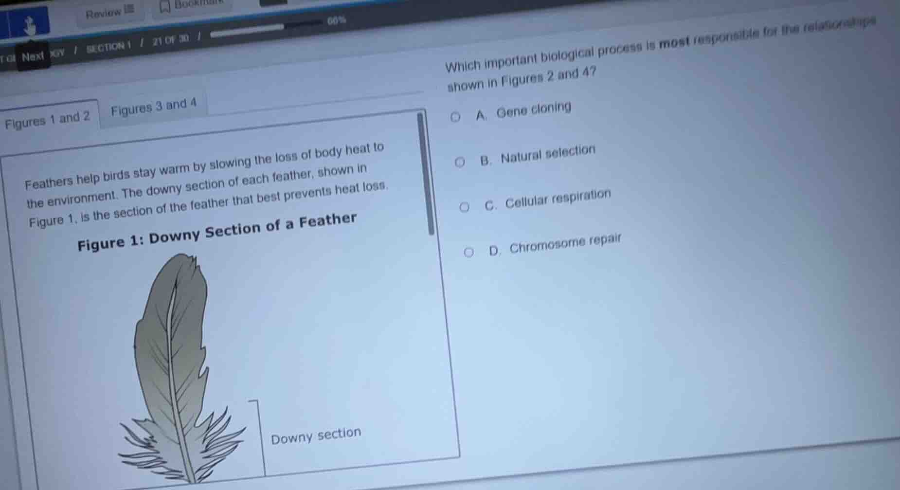 figures 1 and 2 figures 3 and 4 feathers help birds stay warm by slowin…
