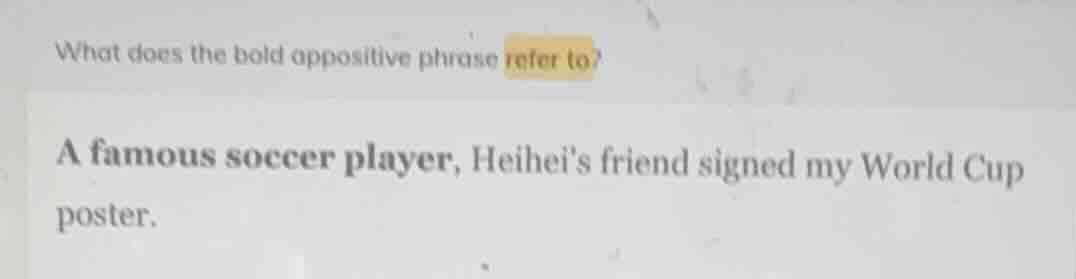what does the bold appositive phrase refer to? a famous soccer player, …
