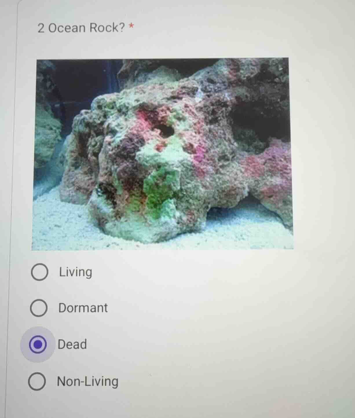 2 ocean rock? * options: ○ living ○ dormant ○ dead ○ non - living