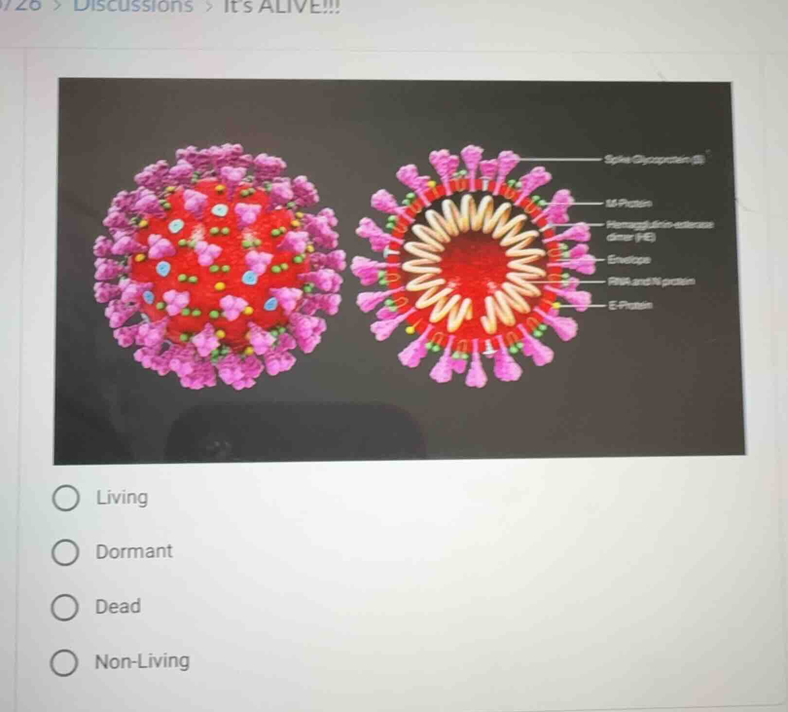 living dormant dead non - living