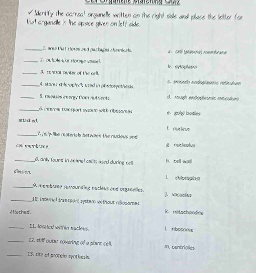 cell organelle matching quiz ✓ identify the correct organelle written o…