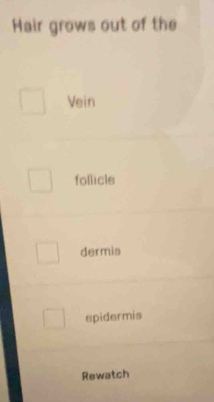 hair grows out of the vein follicle dermis epidermis rewatch