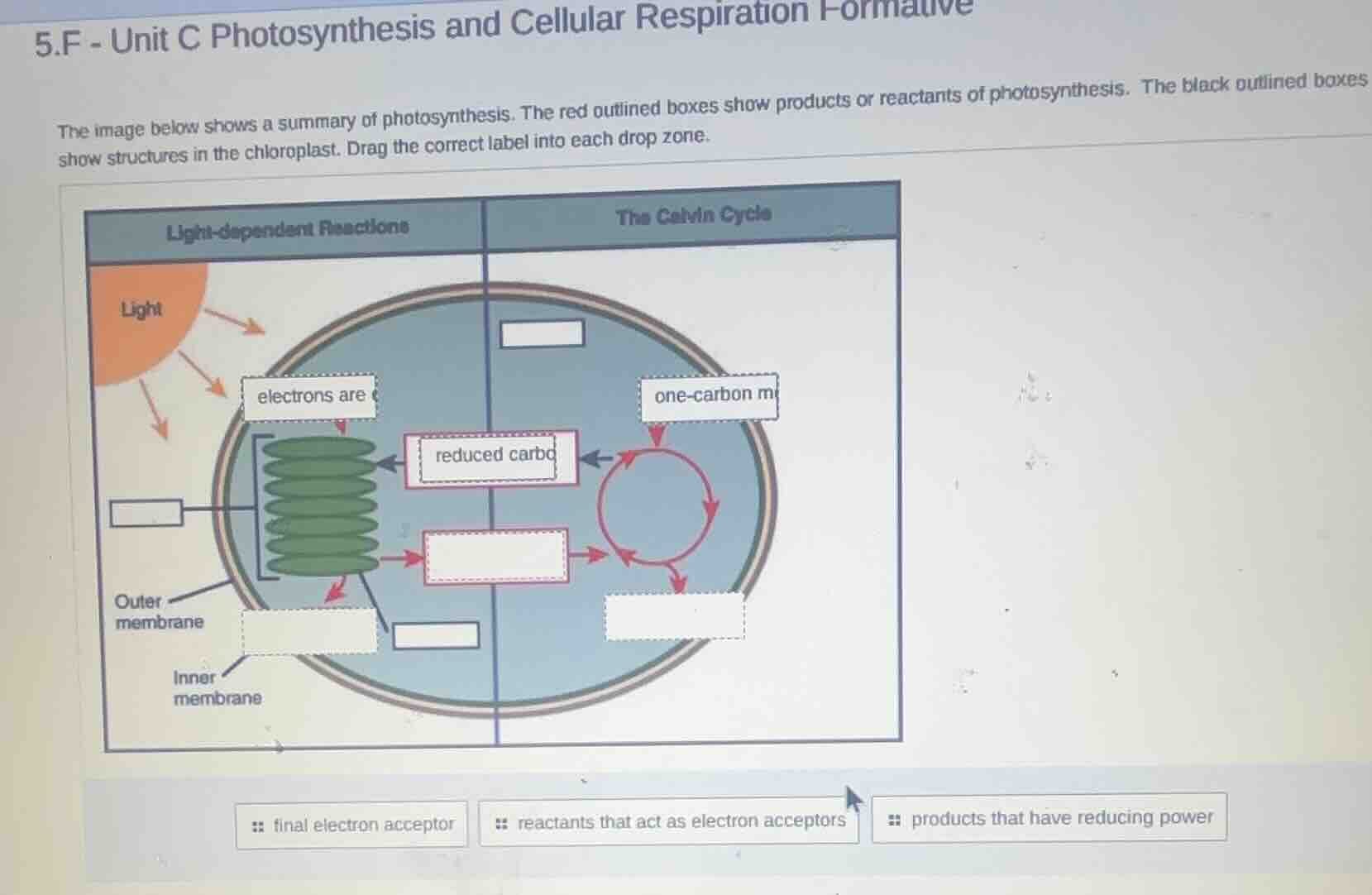 5.f - unit c photosynthesis and cellular respiration formative the imag…