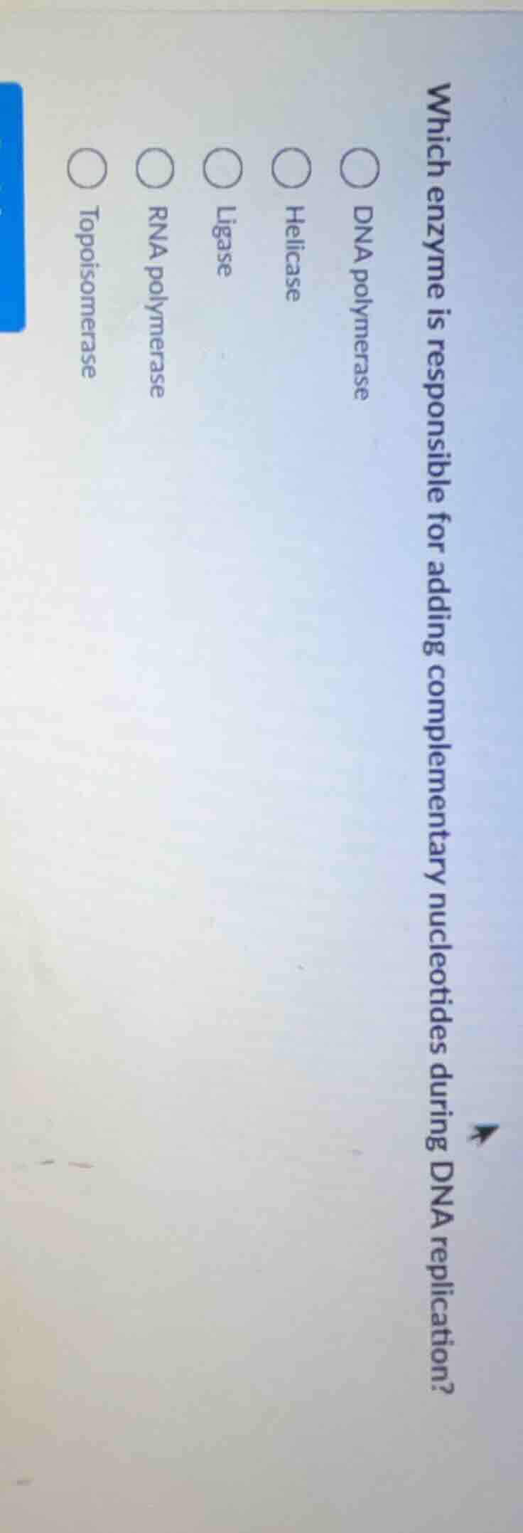 which enzyme is responsible for adding complementary nucleotides during…
