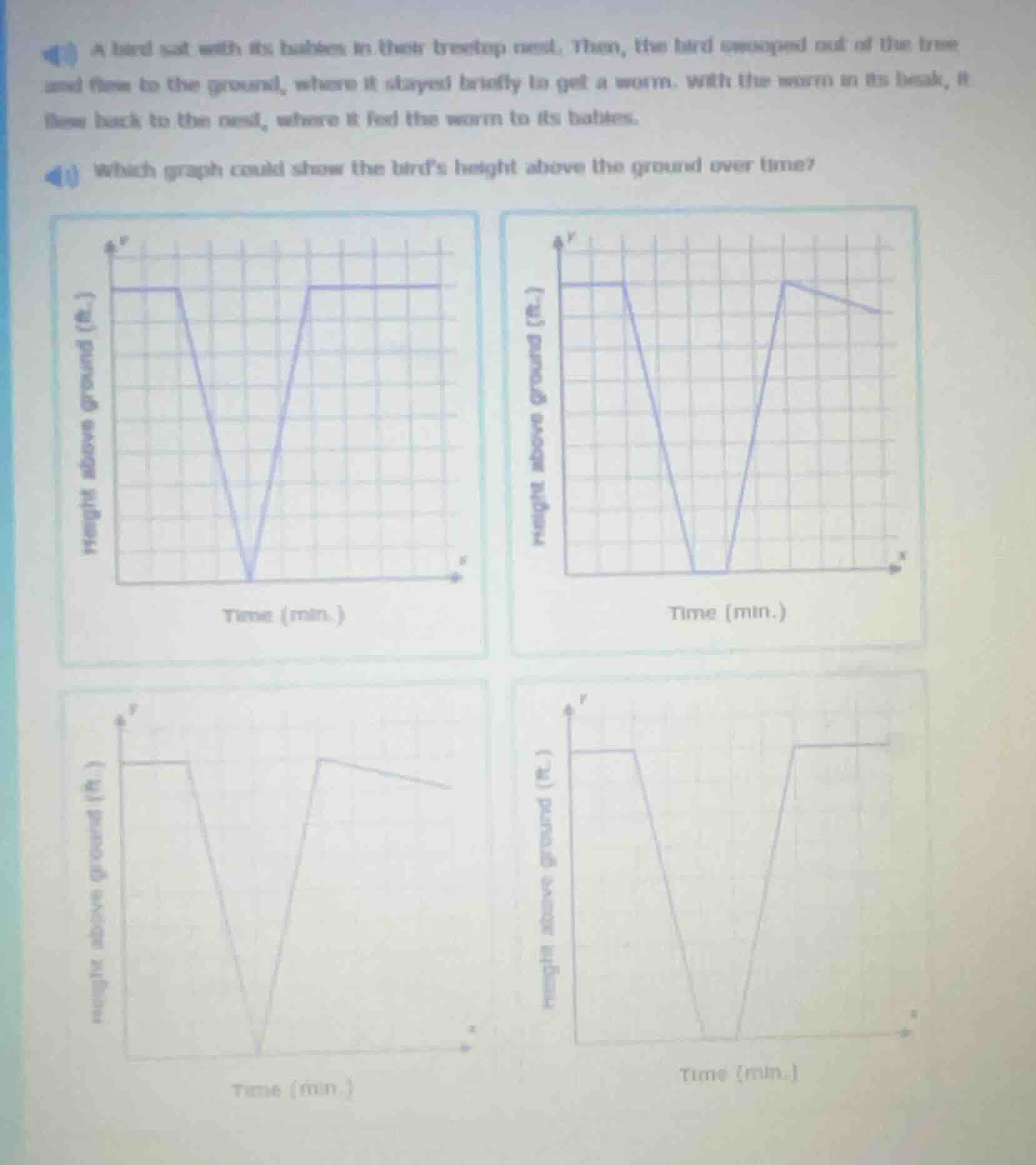 a bird sat with its babies in their treetop nest. then, the bird swoope…